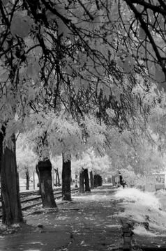 IR landscape Stock Photos