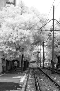 IR landscape Stock Photos