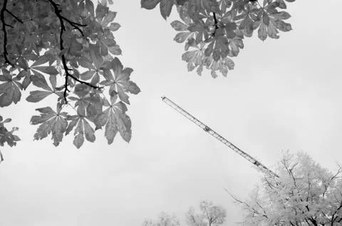 IR landscape Stock Photos