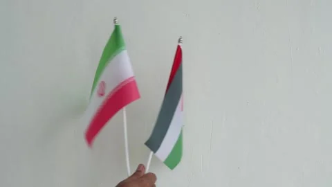 Iranian and Palestinian flags in the hands of Asians Stock Footage 331304773