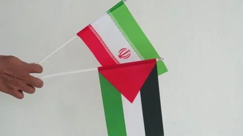 Iranian and Palestinian flags in the hands of Asians 스톡 동영상 331304847