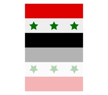 Iraq flag on white background Stock Illustration