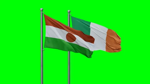 Ireland and Niger two flags Stock Footage 294261902