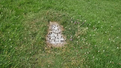 Ireland Clonmacnoise partly buried grave marker Stock Footage 82192053
