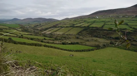 Ireland Countryside Stock Footage 33787058