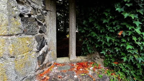 Ireland Epic Locations ancient window stonework work of craftsman no Stock Footage 288109520
