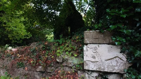 Ireland Epic Locations dark forgotten places castle ruins in Kildare Stock Footage 287697355