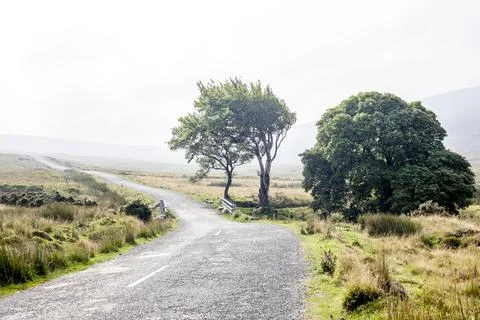 Ireland Photos
