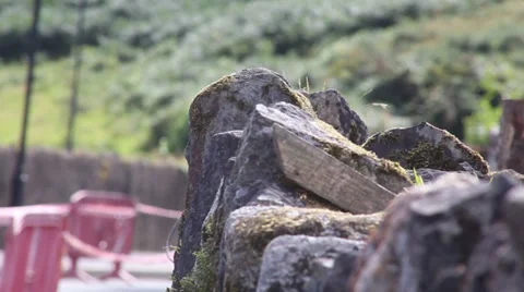 Ireland - Rock Wall Video stock 27623708