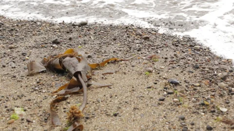 Ireland - Waves on the Beach Stock Footage 27620990
