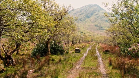 Ireland. Wicklow.4K Stock Footage 99283326