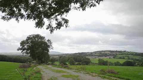 Ireland wind in trees with patchwork of farm fields and hills Stock Footage 170109299