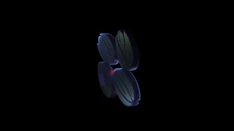 Iridescent 3d shapes transforming on black background Stock Footage 317224857