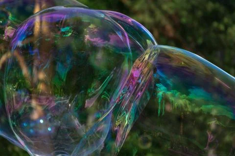 Iridescent large soap bubbles against the background of the forest. Stock Photos