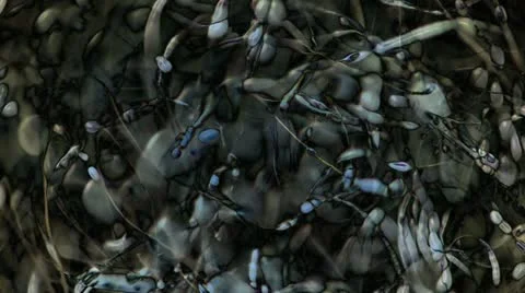 Iridescent Matter 動画素材 22283448