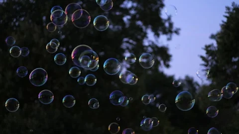 Iridescent soap bubbles floating at dusk 库存影片 343495018