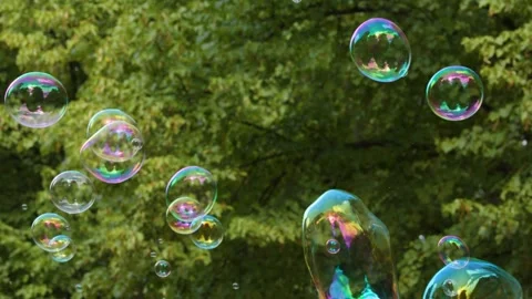 Iridescent Soap Bubbles Floating Through a Lush Green Summer Park Stock Footage 325697037