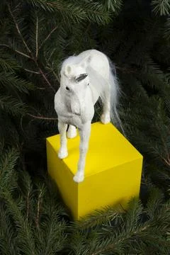 Iridescent white unicorn Stock Photos