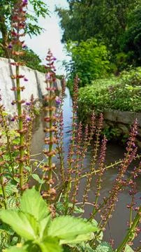 Irigation ditch Stock Photos