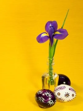 Iris and three easter eggs Stock Photos