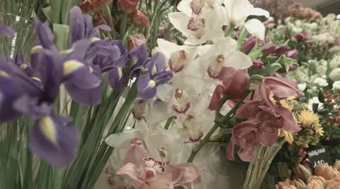 Iris bouquet shop Stock-Footage 47862751