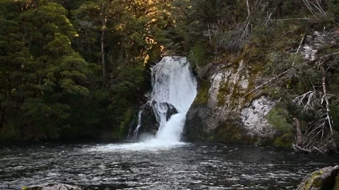 The Iris Burn Waterfall on The Kepler Track, near Te Anau, Aotearoa, New Zeal Stock Footage 220414135