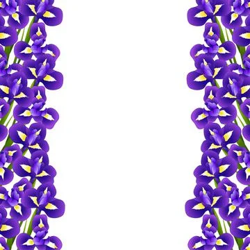 Iris Flower Border Stock Illustration