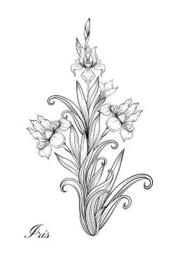 Iris flower, fleur-de-lis Illustrazione stock