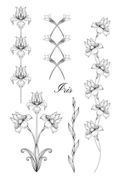 Iris flower, fleur-de-lis Stock Illustration