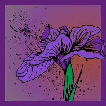 Iris flower Stock Illustration