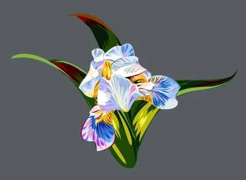 Iris flower Stock Illustration