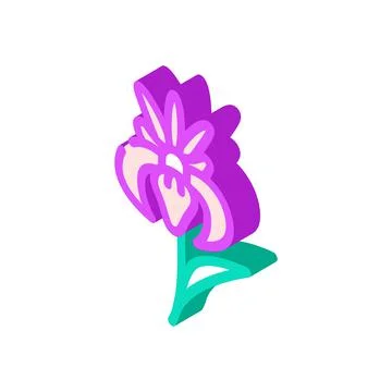 Iris flower isometric icon vector illustration Ilustración de archivo