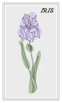 Iris flower line art with abstract green and violet stains Stock Illustration