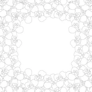 Iris Flower Outine Border on White Background Stock Illustration