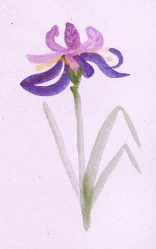 Iris flower on pink colored paper Stock Illustration