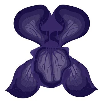 Iris flower purple. Vector illustration on white background. Stock Illustration