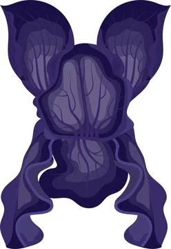 Iris flower purple. Vector illustration on white background. Stock Illustration