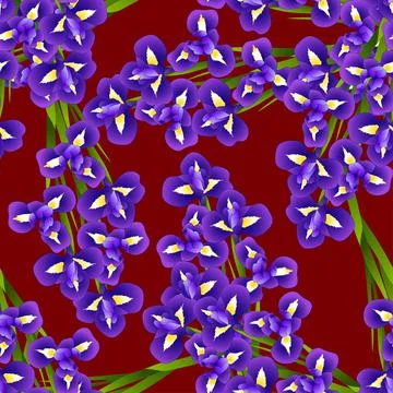 Iris Flower on Red Background Stock Illustration