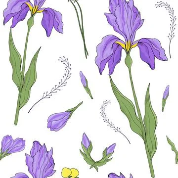 Iris flower seamless pattern on white background Stock Illustration