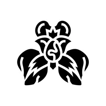 Iris flower spring glyph icon vector illustration Ilustración de archivo