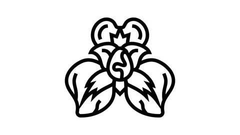 Iris flower spring line icon animation Stock Footage 326135346