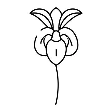 Iris flower spring line icon vector illustration Illustrazione stock