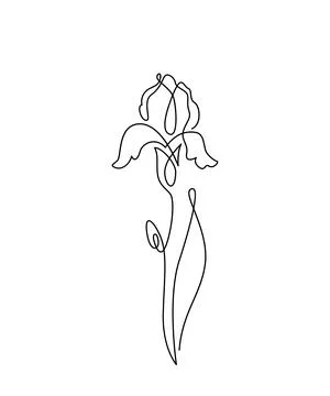 Iris flower vector illustration in simple minimal continuous outline line style Illustrazione stock
