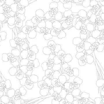 Iris Flower on White Background Stock Illustration