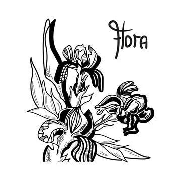 Iris flowers are drawn graphically with lettering Flora. 스톡 일러스트
