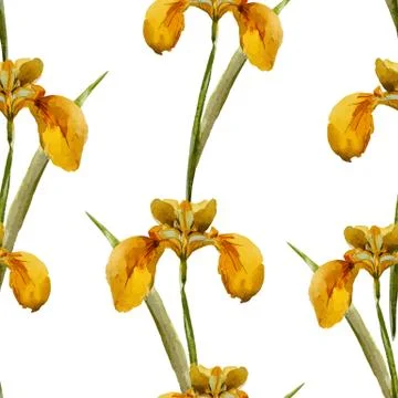 Iris flowers pattern Stock Illustration