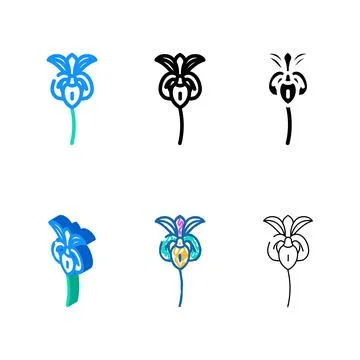 Iris forms flower spring color icon vector Stock Illustration