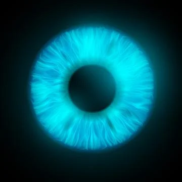 Iris of the human eye Stock-Illustration