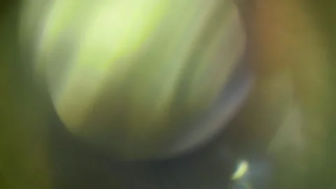 Iris Lens Flares 02 Stock Footage 230450888
