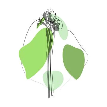 Iris for logo, decorations, card. invitation. Hand drawn transparent line and 스톡 일러스트